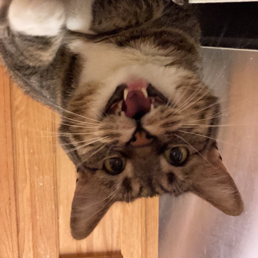 Meet your Posher, Mckaylie